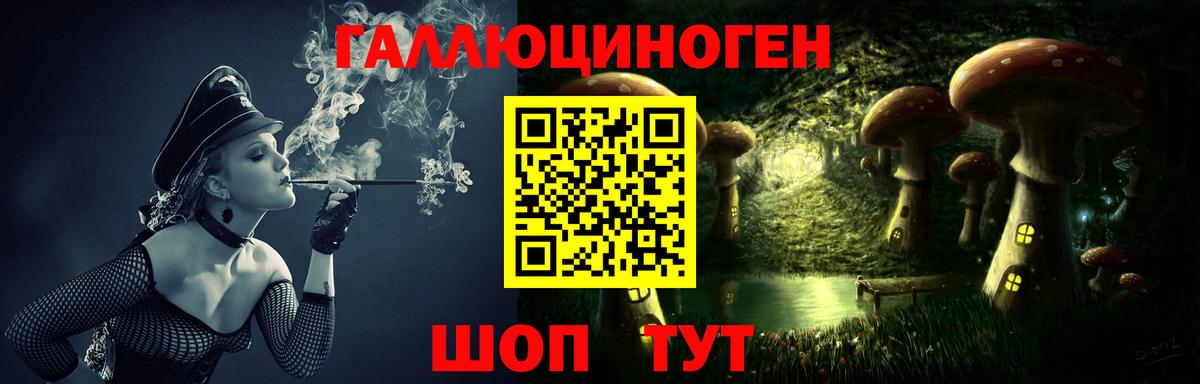 Галлюциногенные грибы прущие грибы  Вход с VPN  Арзамас  Псилоцибиновые грибы Psilocybine cubensis 